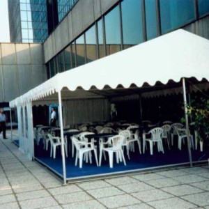 Party tent 6x10 metres